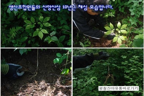 산야유통 이미지