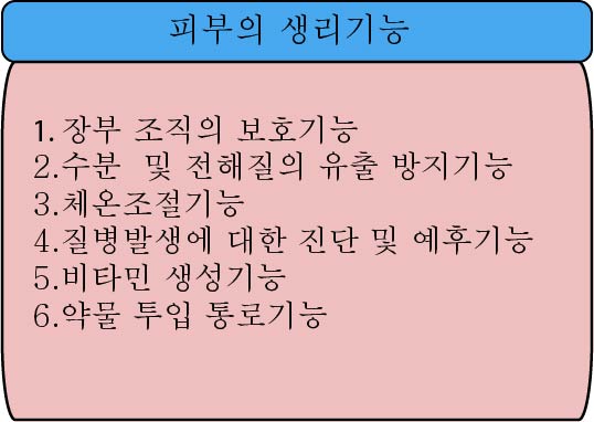 경희피레토한의원 이미지