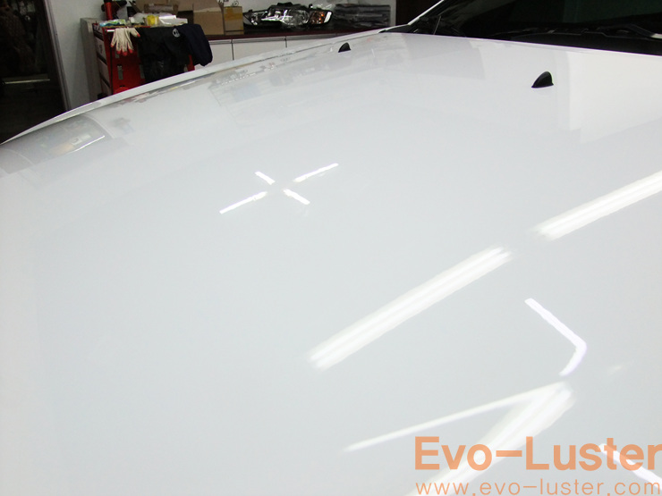 Evo-Luster 이미지