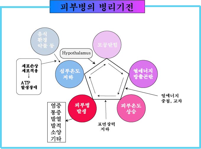 경희피레토한의원 이미지