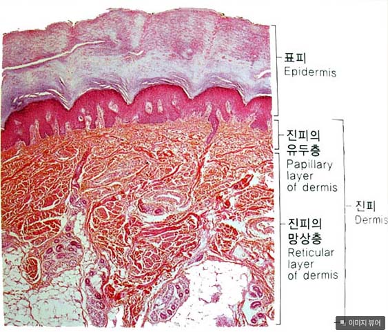 경희피레토한의원 이미지