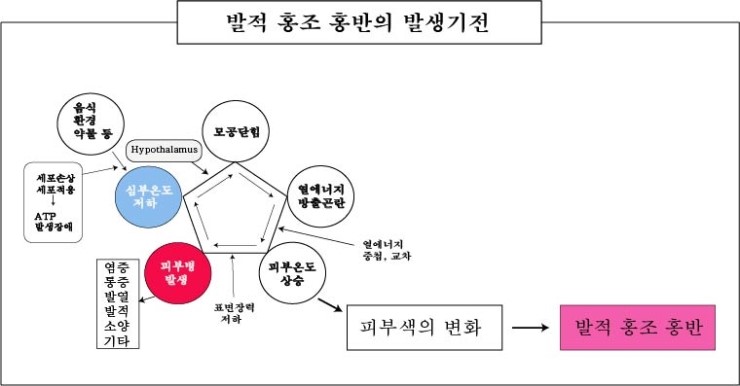 경희피레토한의원 이미지