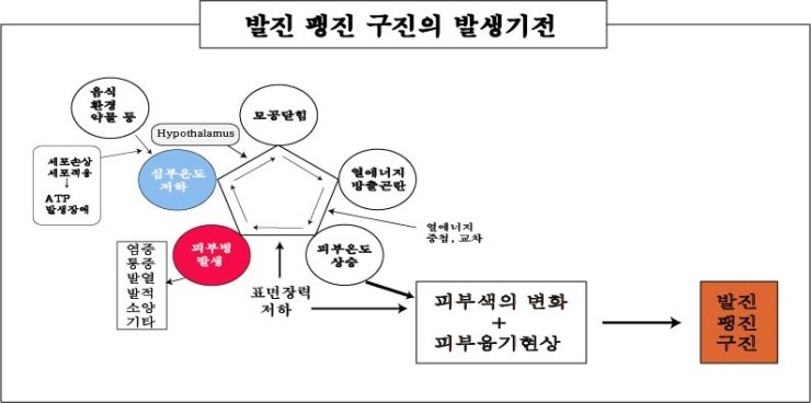 경희피레토한의원 이미지