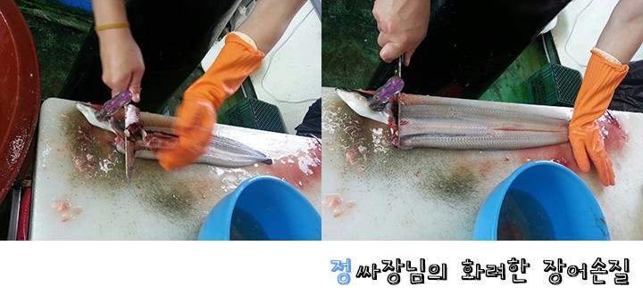 우성장어 이미지