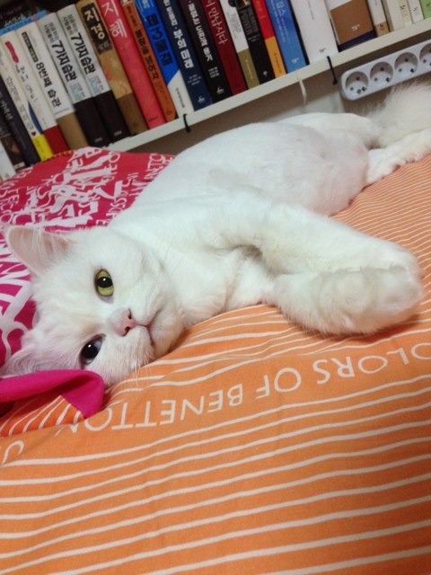 잠티 이미지