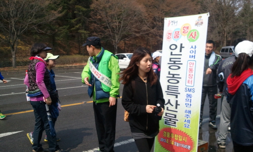 낙동장터 이미지