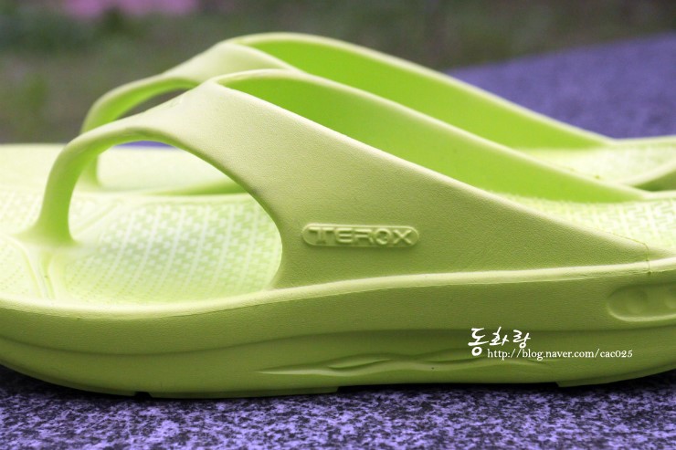 티록스 이미지