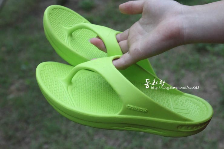 티록스 이미지