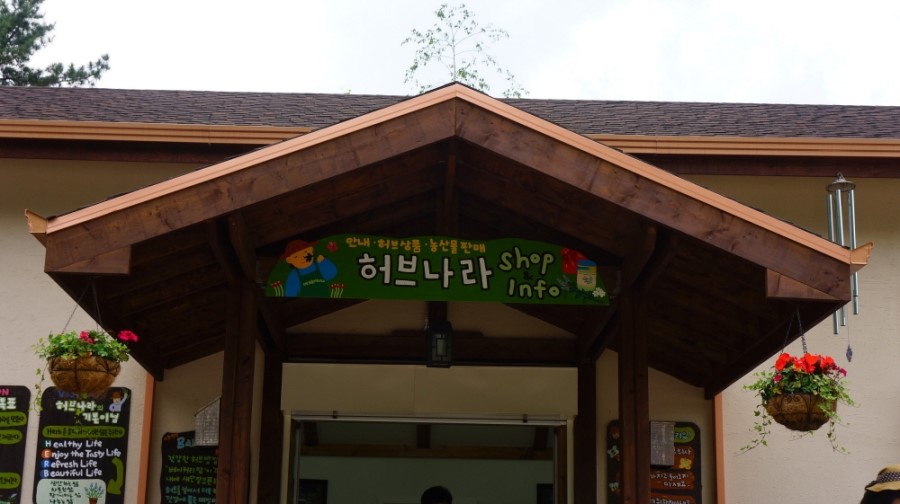 허브나라 이미지