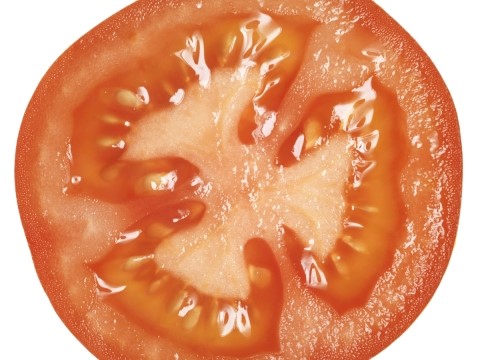토마토피부과 이미지