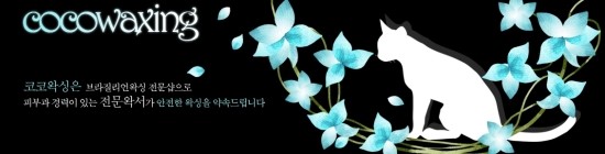 코코(CoCo)왁싱 이미지