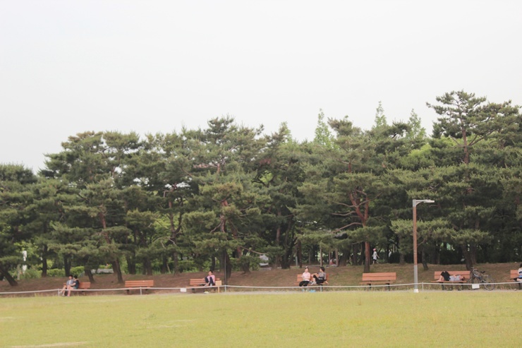 Bucheon Central Park