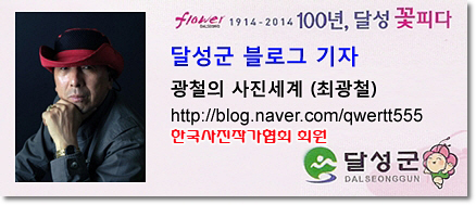 심인고등학교 이미지