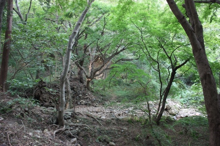영주농산물유통센터 이미지