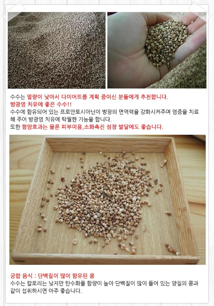 등대유기영농조합법인 이미지