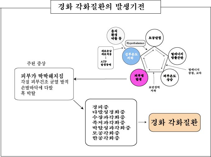 경희피레토한의원 이미지