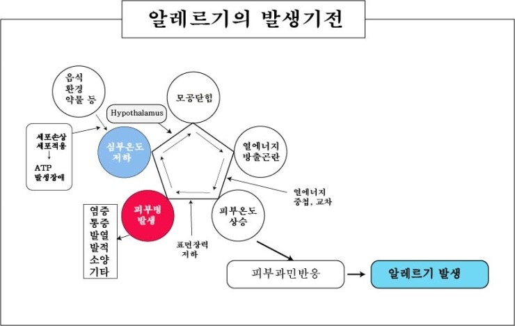 경희피레토한의원 이미지