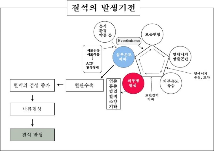 경희피레토한의원 이미지
