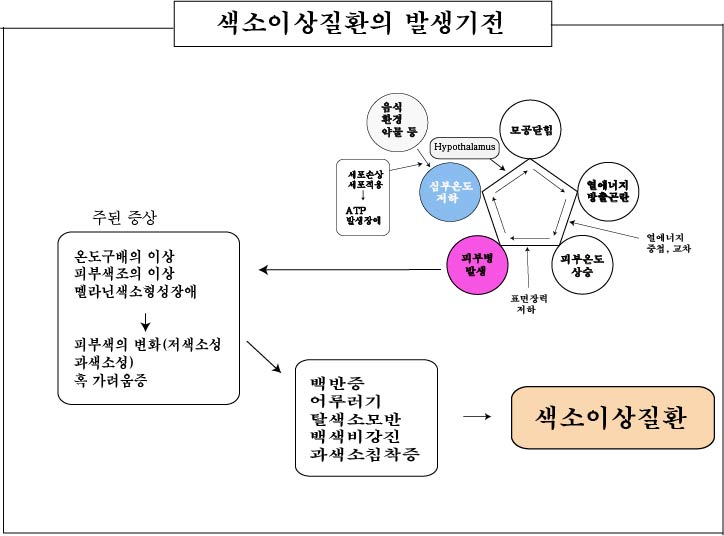 경희피레토한의원 이미지