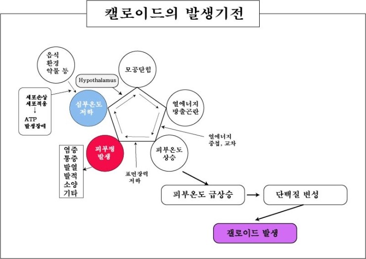 경희피레토한의원 이미지