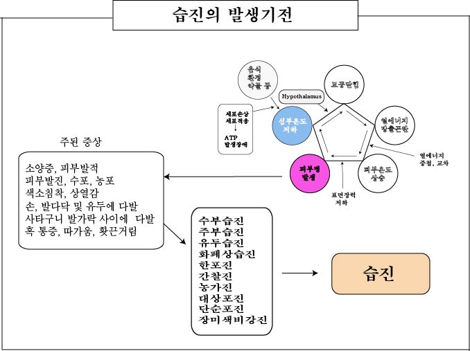 경희피레토한의원 이미지