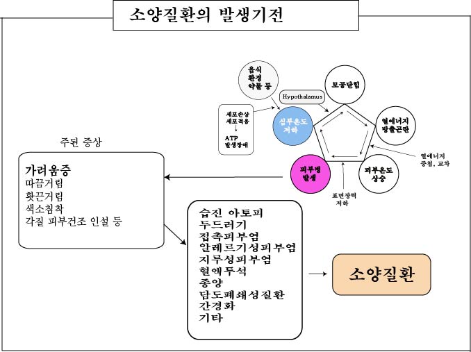 경희피레토한의원 이미지