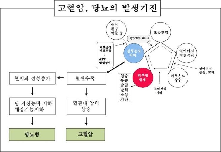 경희피레토한의원 이미지