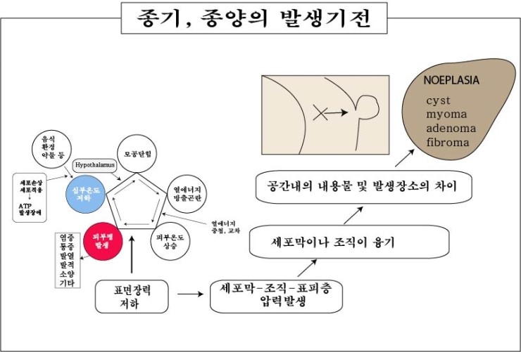 경희피레토한의원 이미지