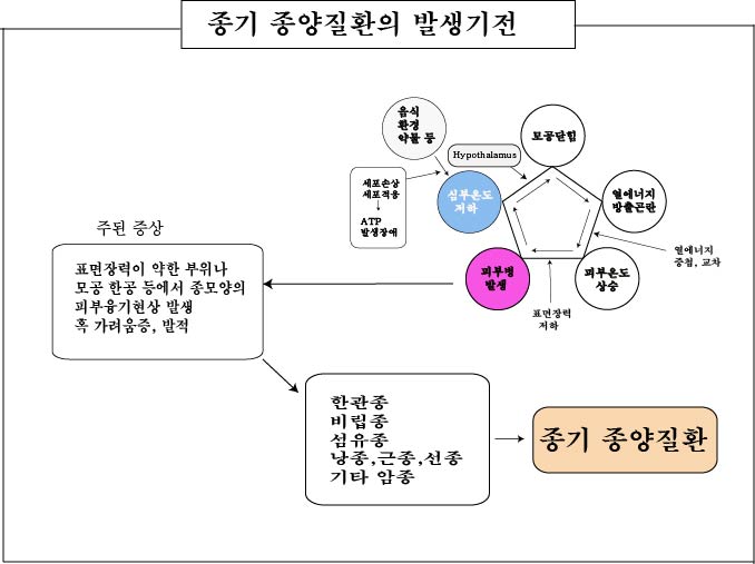 경희피레토한의원 이미지