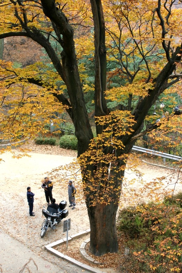 다경루 이미지