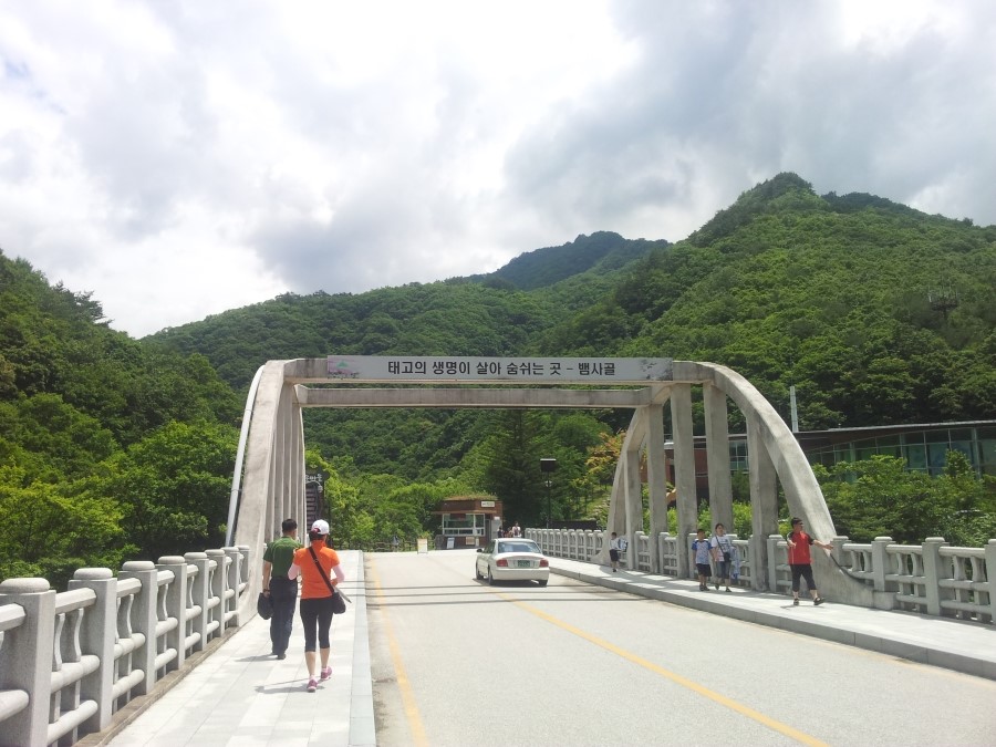 지리산추어탕 이미지