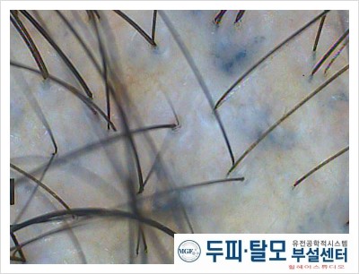 인자스튜디오 이미지