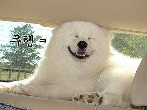 부자통신 이미지
