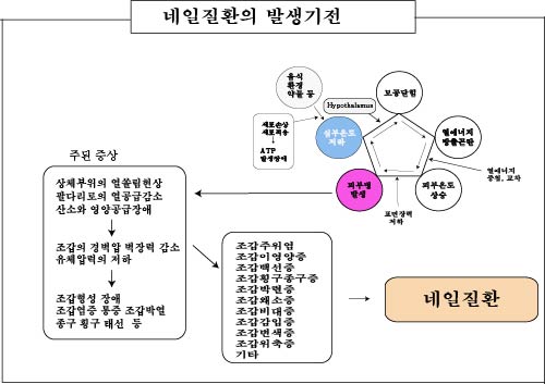 경희피레토한의원 이미지