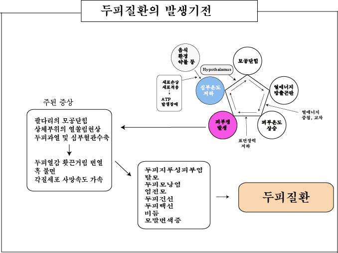 경희피레토한의원 이미지