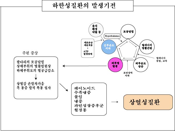 경희피레토한의원 이미지