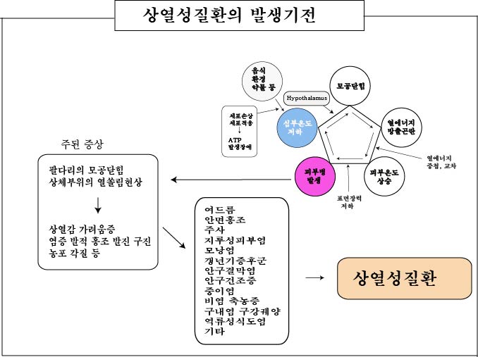 경희피레토한의원 이미지