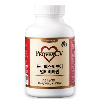 브이멀티 이미지