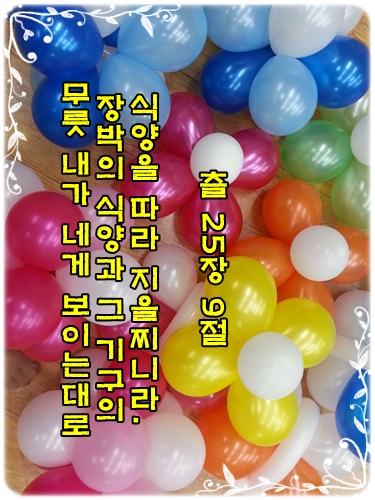 꽃피우다 이미지