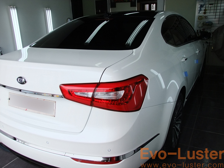 Evo-Luster 이미지
