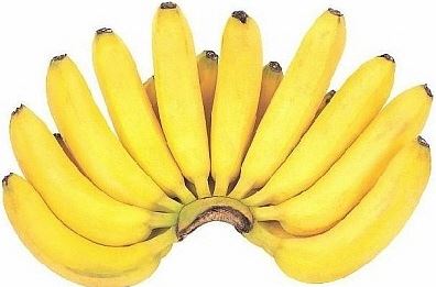 에이치모드 이미지