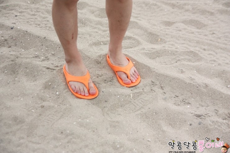 티록스 이미지