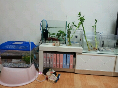 디씨땡 이미지
