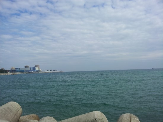 초산아구찜 이미지