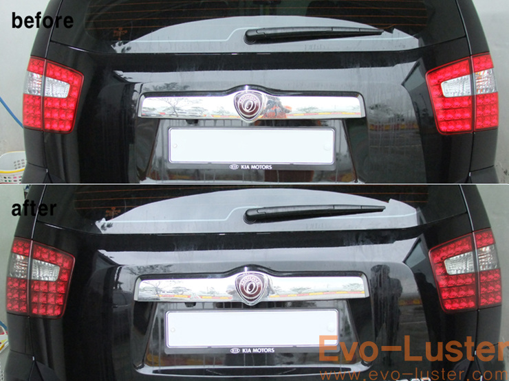 Evo-Luster 이미지