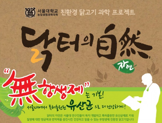 닭터 이미지