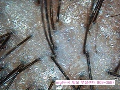 지성떡 이미지