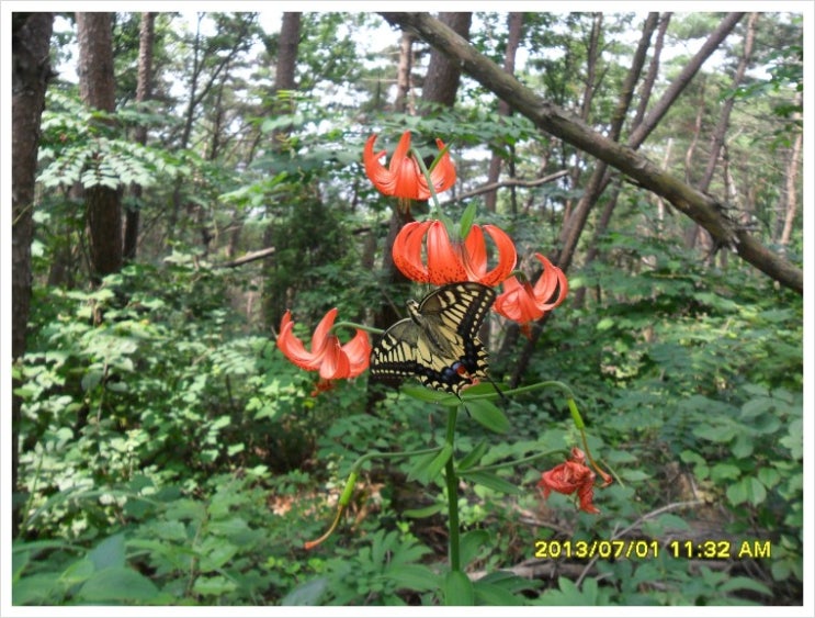 물레식당 이미지
