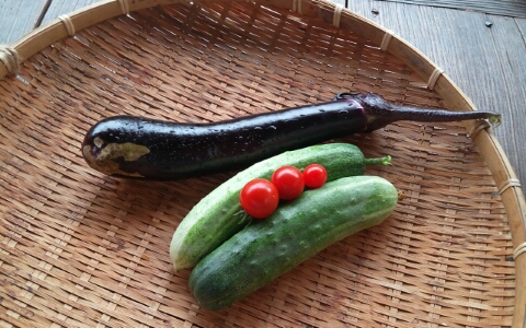 날마다 봄 이미지