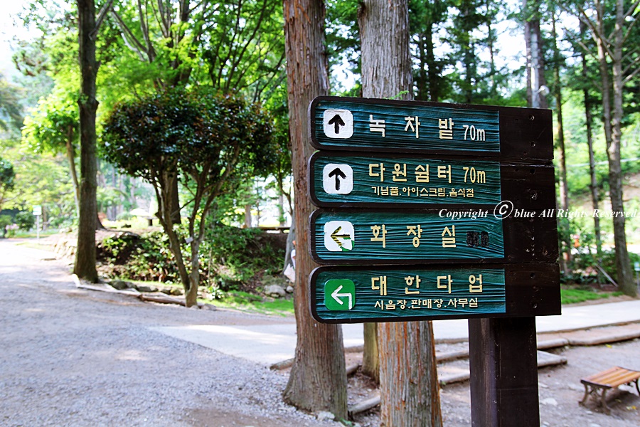 주식회사 보성녹차인 이미지